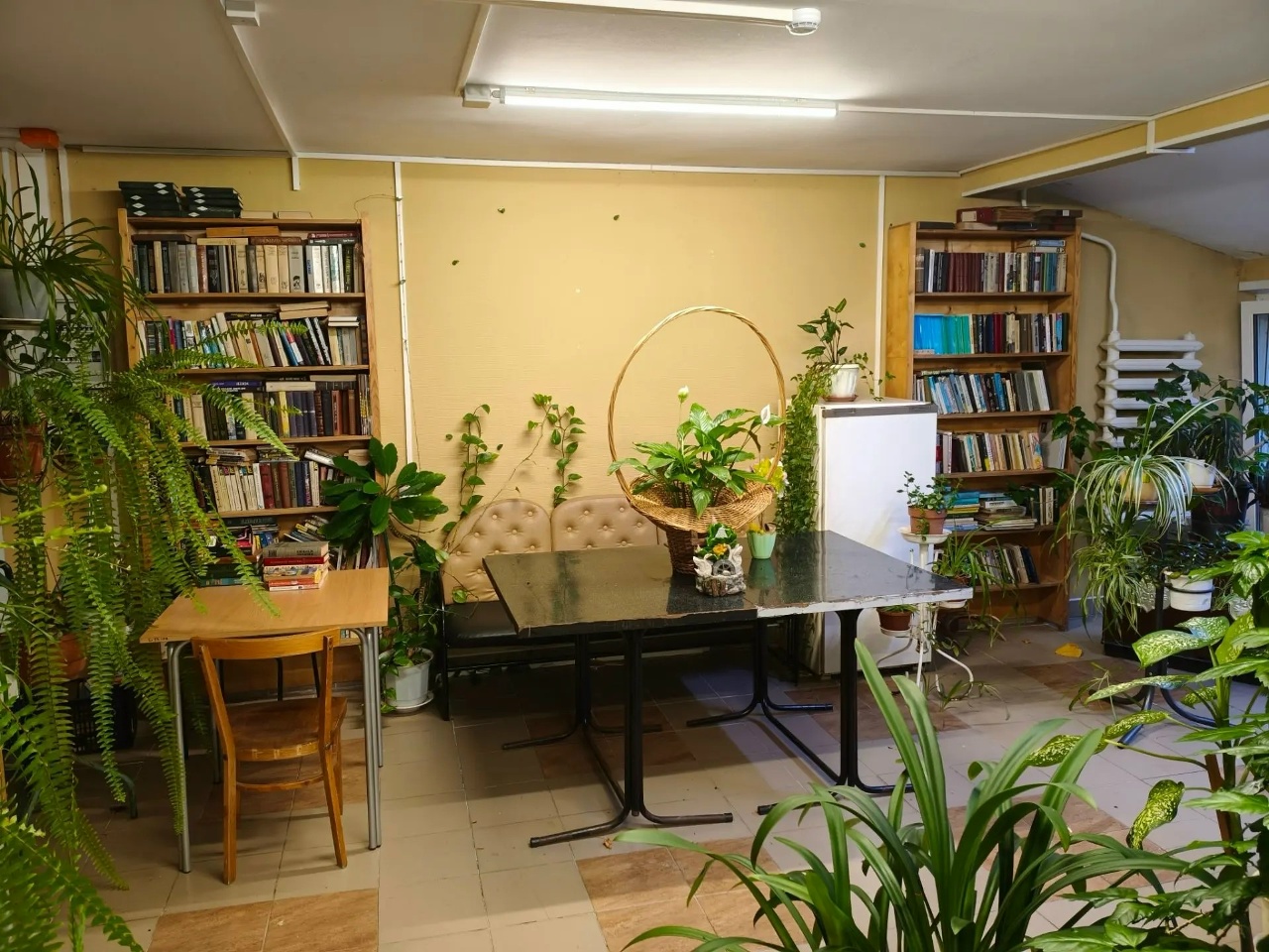 biblioteka