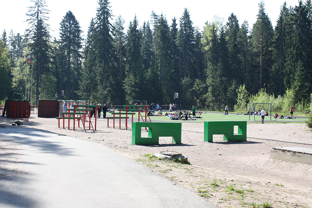 006